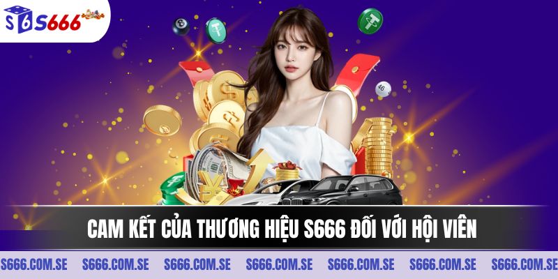 Cam kết của thương hiệu S666 đối với hội viên