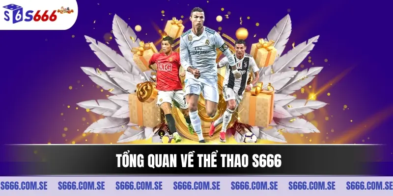 Tổng quan về thể thao S666