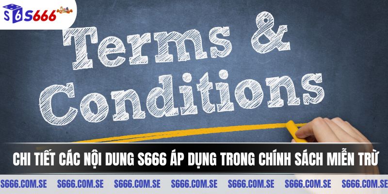 Chi tiết các nội dung có trong điều khoản điều kiện S666