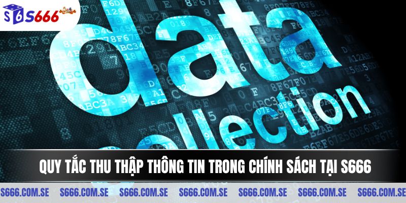 Quy tắc thu thập thông tin trong chính sách tại S666